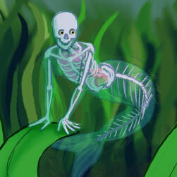 an illustration of a mermaid but based off the glass fish so she is see-through